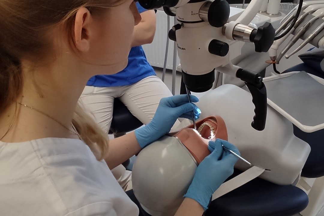 Studenci stomatologii PUM zdominowali egzamin! Najlepsi w Polsce!