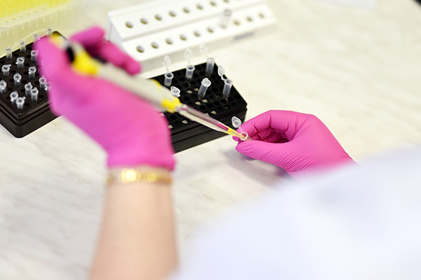 Zapraszamy na spotkanie naukowe PTB i PTDL