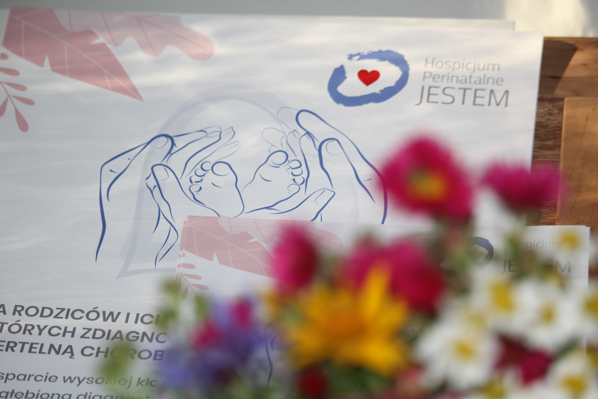 Rok działalności Hospicjum Perinatalnego JESTEM w Szczecinie