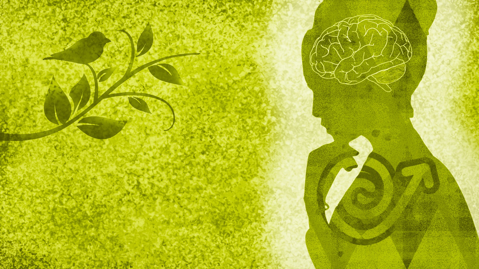 Jutro w PUM finał Ogólnopolskiej Olimpiady Wiedzy o Mózgu