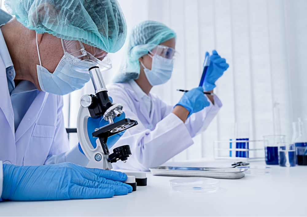 Pierwsze webinarium z cyklu: „Wykorzystanie zwierząt laboratoryjnych w badaniach biomedycznych”.