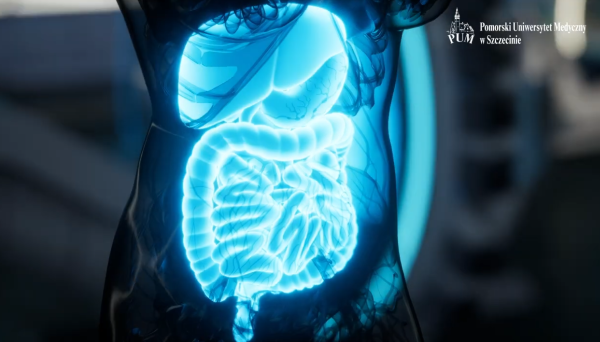 “Oś mózg-jelita: Akermansia muciniphila i badania nad jej wpływem na metabolizm, stres i samopoczucie”