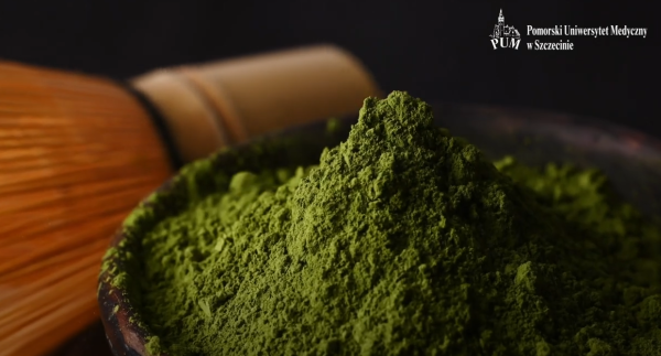 Matcha pod lupą naukowców PUM: Antyoksydanty i mechanizmy działania zielonej herbaty