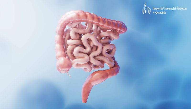 Epigenetyczna modulacja szlaku sygnałowego S1PS1PR1 w zapaleniu okrężnicy i transformacji nowotworowej u pacjentów z pierwotnym stwardniającym zapaleniem dróg żółciowych