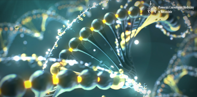 Częstość występowania otyłości monogenowej wśród polskich dzieci i młodzieży z otyłością olbrzymią - Polsko-Niemieckie badanie kliniczne i genetyczne