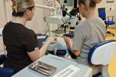 II Międzynarodowa Konferencja Wydziału Stomatologii PUM w Szczecinie i WINTER SCHOOL