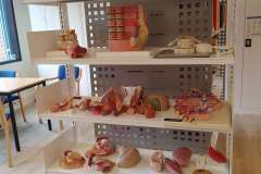 PUM na targach edukacyjnych w Oslo