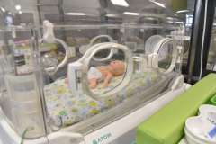 Od fantomów po wirtualnego pacjenta. Tak wyglądały Dni Otwarte PUM