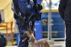 Majówka „Ambasador Zdrowia” 2025 – radość, integracja i profilaktyka