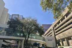 w MD Anderson Cancer Center