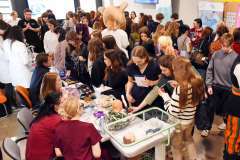 Od fantomów po wirtualnego pacjenta. Tak wyglądały Dni Otwarte PUM