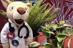 gadżety promocyjne uczelni, maskotka, gumowe serce z logo, kwiaty ozdabiające stoisko