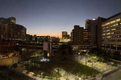 w MD Anderson Cancer Center