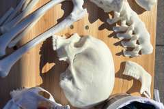 Sport i nauka w Trzebieży – wyjątkowe zakończenie wakacji z genetyką