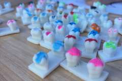 Sport i nauka w Trzebieży – wyjątkowe zakończenie wakacji z genetyką