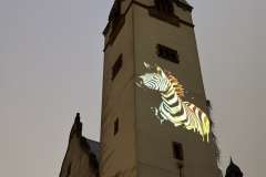 Światowy Dzień Chorób Rzadkich – Konferencja na PUM