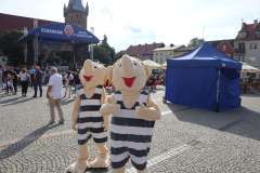 Dwie osoby w przebraniu bliźniaków