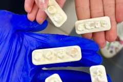 Wiosna pełna aktywności na Wydziale Stomatologii PUM