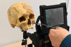 Nowoczesna Anatomia na PUM dzięki środkom z KPO