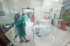  Uroczyste otwarcie nowo wybudowanych siedzib klinik ginekologiczno-położniczo-neonatologicznych w USK nr 2 PUM