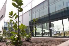 Bank Tkanek i Komórek