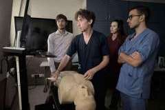 Cztery młode osoby w trakcie ćwiczeń na symulatorze USG. Przed nimi na stole leży fantom człowieka