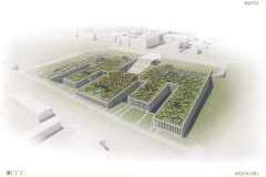 5. Wyróżnienie honorowe