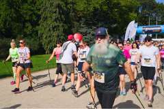 grupa idących osób w kijkami nordic walking, wkoło zielona okolica