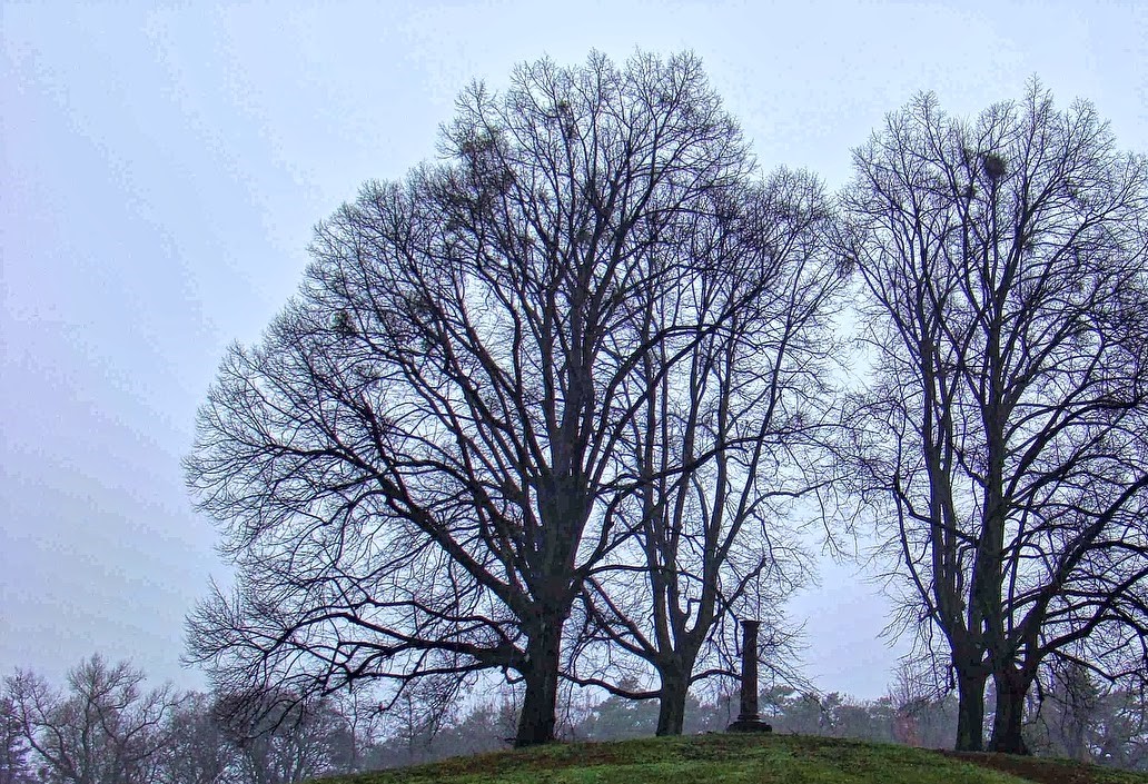 Zagłosuj w SBO na Wzgórze Napoleona
