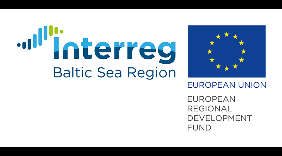 BALTIC GAME INDUSTRY - wyniki badania