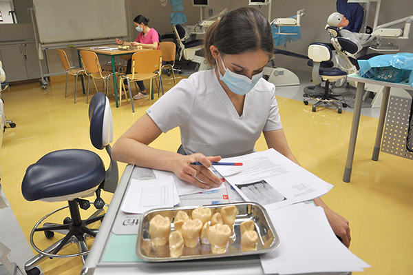 VII edycja międzyuczelnianych zawodów w symulacji stomatologicznej