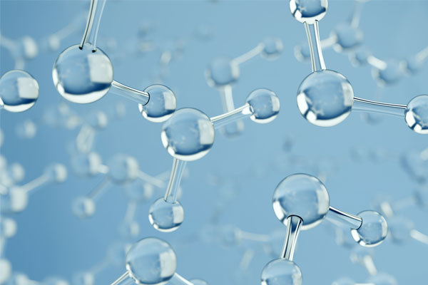 Wykład profesor z Gruzji nt. biofizyki