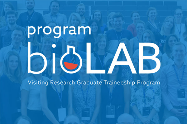 Staże badawcze w USA