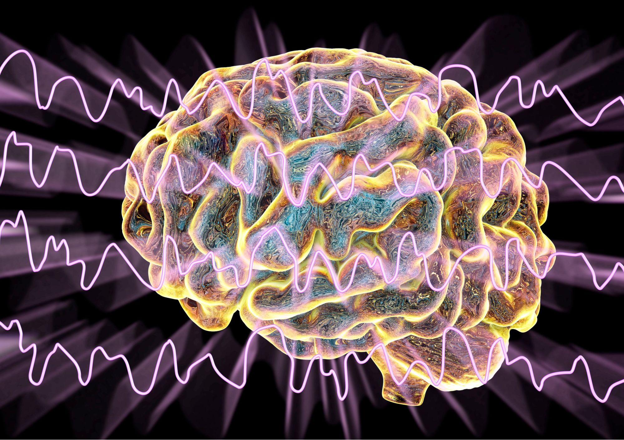 Kolejne spotkanie Międzywydziałowego Centrum Neuronauki PUM