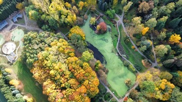 Nie tylko sala wykładowa! Studenci Farmacji PUM uczą się także w terenie