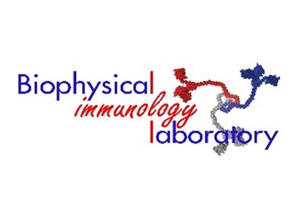 Integryny CD18: od podstawowej immunologii do znaczenia klinicznego (CD18 integrins: from basic immunology to clinical significance)