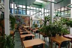 Library (Unii Lubelskiej)