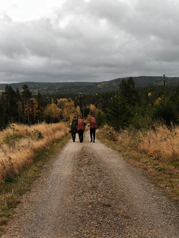 Norwegia - wyjazd na studia