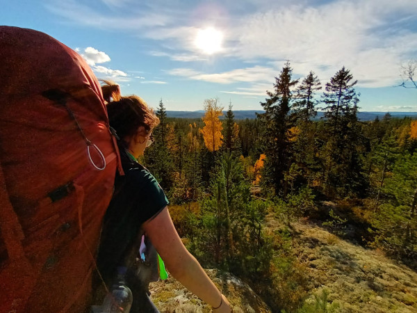 Norwegia - wyjazd na studia