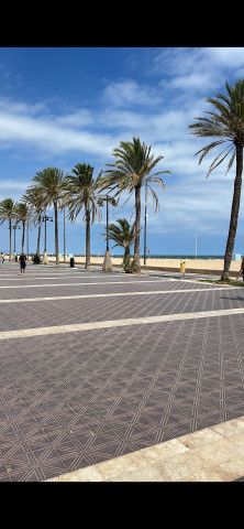 Universitat de València - kierunek lekarski