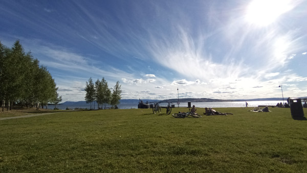 Norwegia - wyjazd na studia