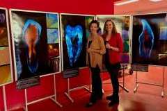 Wernisaż wystawy fotograficznej w BG PUM pt. Sekretne piękno zębów