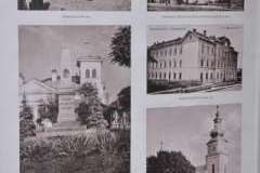 Profesor Marek Eisner