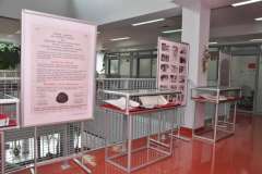 Profesor Marek Eisner