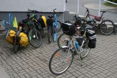 Odjazdowy bibliotekarz