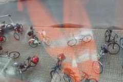 Odjazdowy bibliotekarz