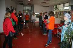 Odjazdowy bibliotekarz