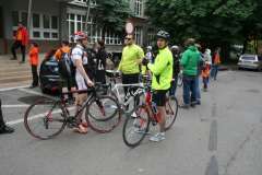 Odjazdowy bibliotekarz