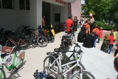 Odjazdowy bibliotekarz