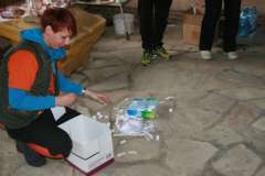 Odjazdowy bibliotekarz